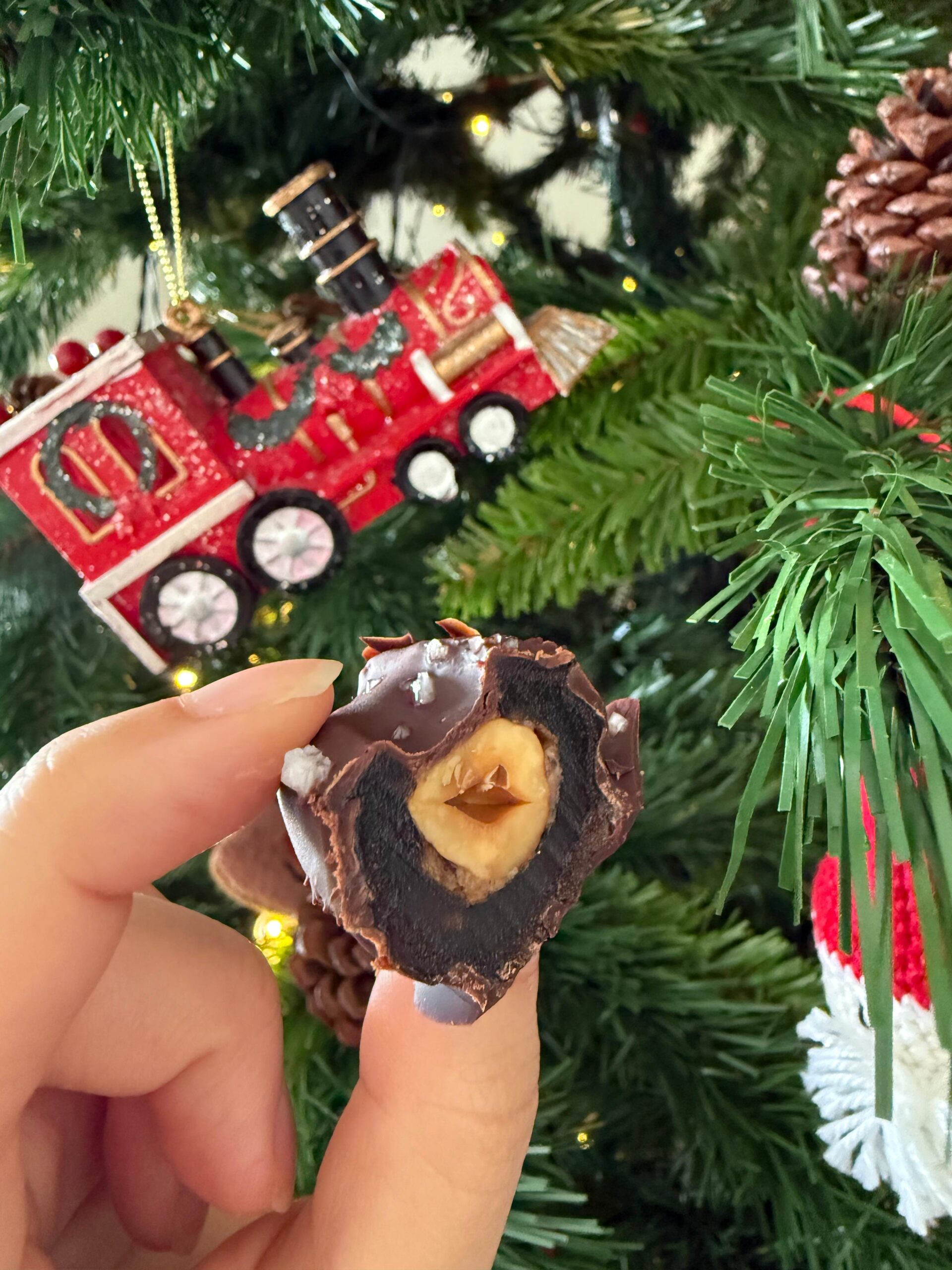 You are currently viewing Bombons de Chocolate e Avelã